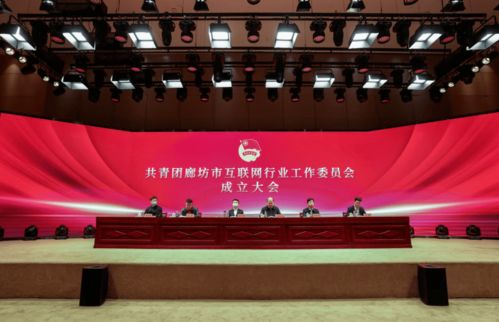 共青團(tuán)廊坊市互聯(lián)網(wǎng)行業(yè)工作委員會正式成立，為本地企業(yè)網(wǎng)站建設(shè)注入青春動能